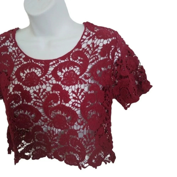 Sexy What? Cropped Crocheted  Burgundy Top, M - Picture 5 of 8
